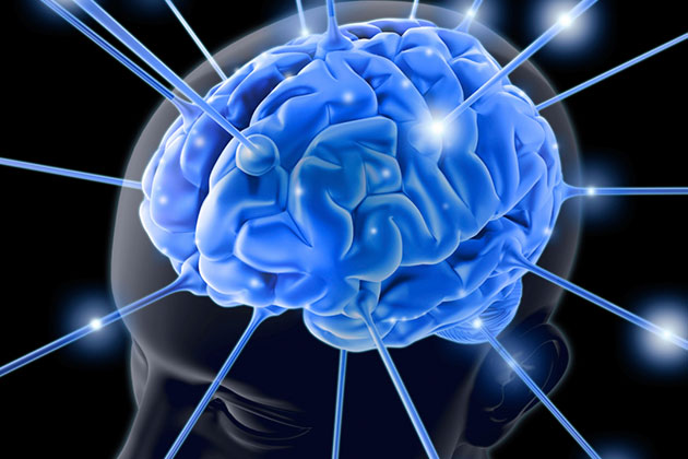 cerebro ejercicio