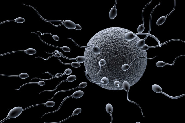 10-mitos-sobre-fertilidad-1