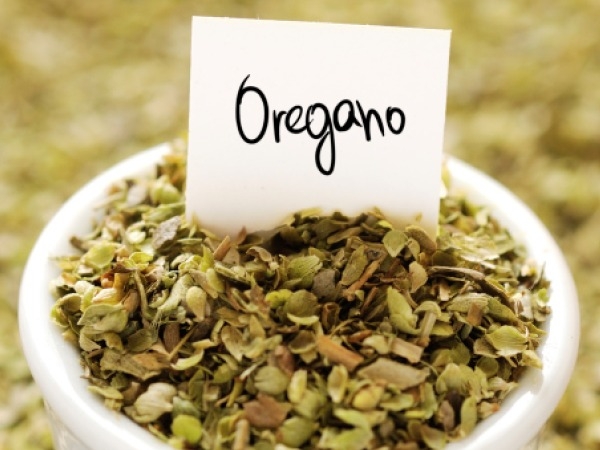oregano