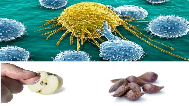 celula_cancer_cura_globulos_blancos