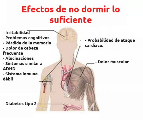 Efectos-de-no-dormir-en-el-organismo1-500x419