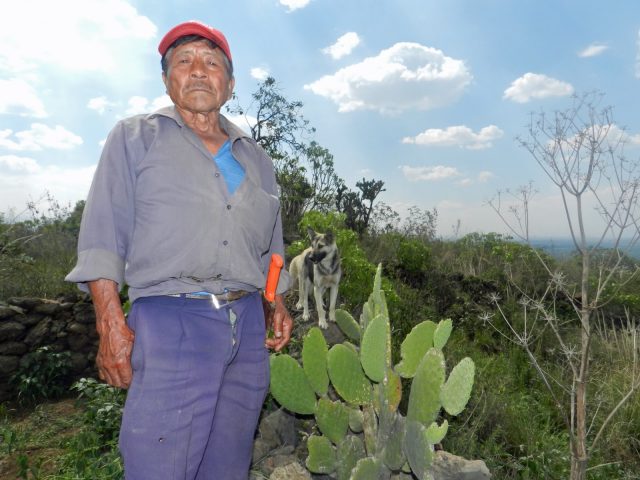 campesino-e1465700716687
