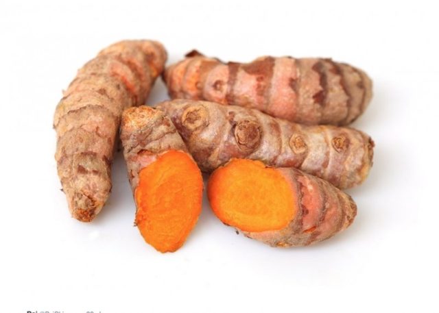 curcuma