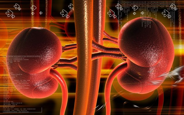 Sintomas de que tus riñones estan fallando!! Atención! - Medicina Sana