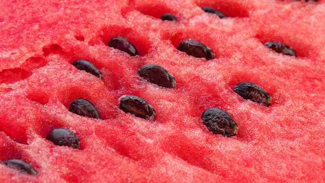 semillas_de_sandia_baja