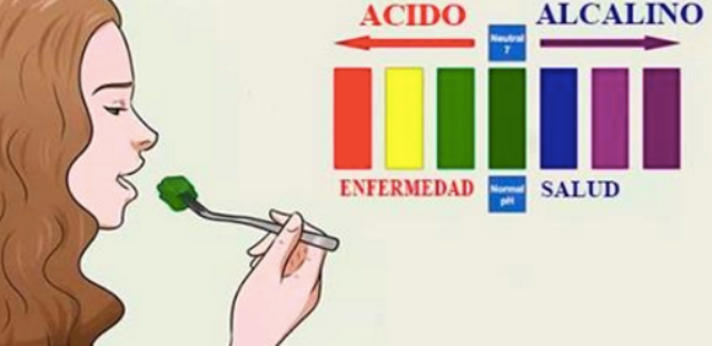 alimentos alcalinos
