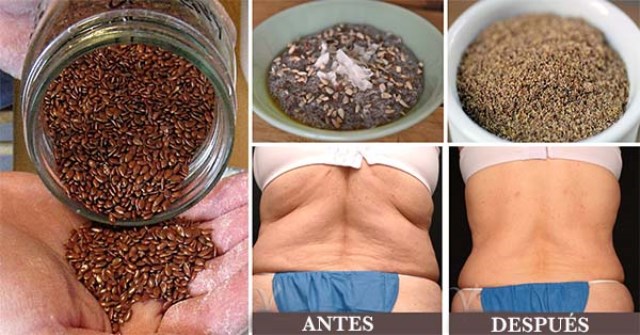 semillas para pasitos y grasa