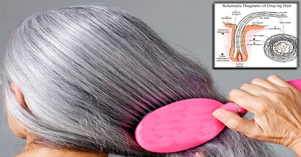adios-a-las-canas