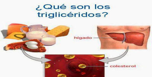 8-consejos-para-nivelar-los-trigliceridos