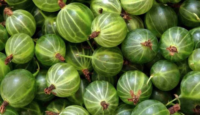 fruta