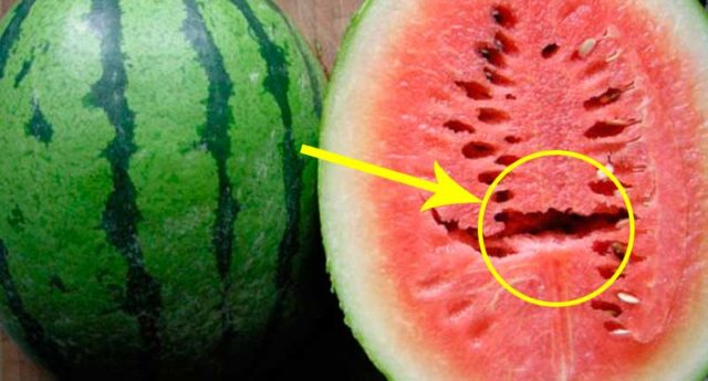 sandia-con-grietas