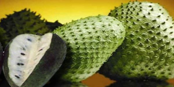 guanabana