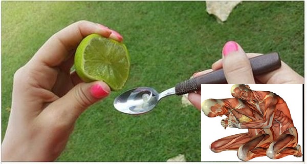 limon-y-aceite-verde